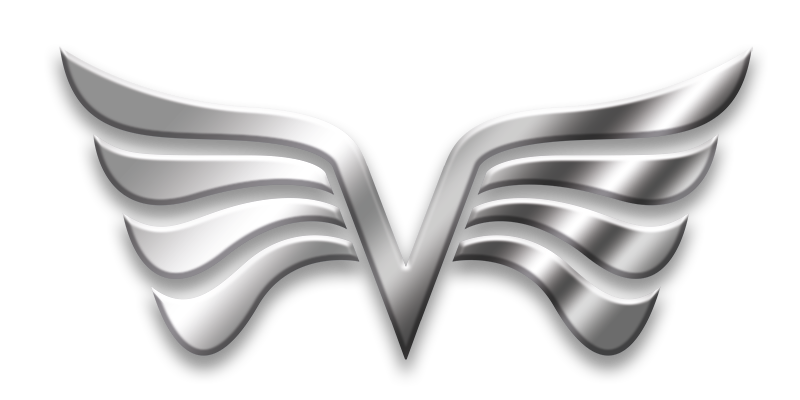 Flight Logbook silver wing logo